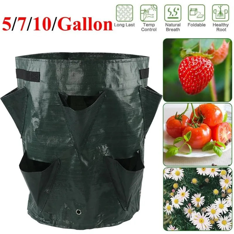 5/7/10 Gallon PE Strawberry Planter Grow Bags Potato Pot Gardening Pots Home Jardin Flower Veg Tomato Planting Tools Container