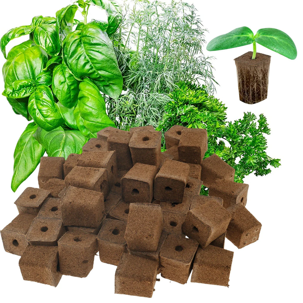 50Pcs Seedling Starter Sponge Hydroponic Seed Pods Replacement Root Growth Sponges Starter Pods Hydroponic Indoor Garden System