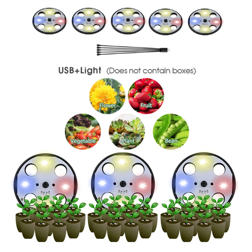 Red Blue White Greenhouse Germination Led Plant Lamps Beads Grow Lights Full Spectrum Purple Lighting for Seed Starter Tray Kit