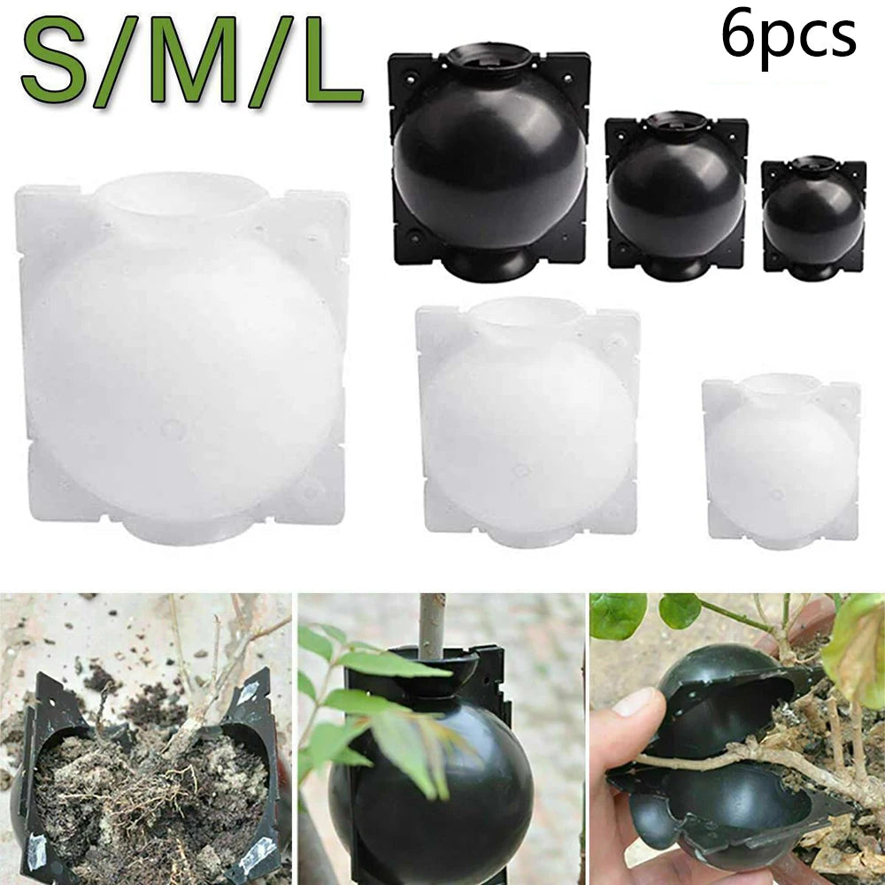 6PCS Plant Rooting Boxes Root Device Pressure Propagation Ball Box For Plants Grafting Growing Plant Care Products Accessories
