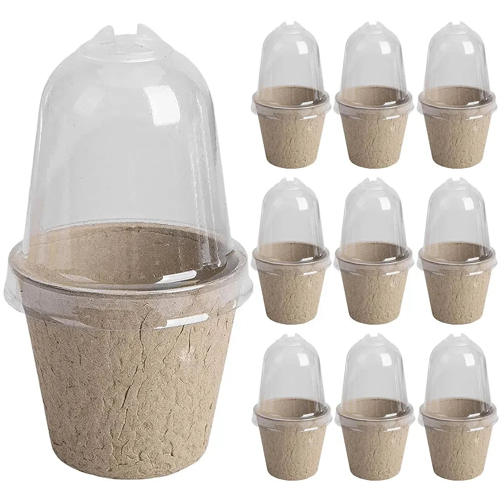 10Pcs Seedling Cup Cultivation Pot Transparent Lid Germination Planter Versatile Greenhouse Breeding Box Gardening Supplies