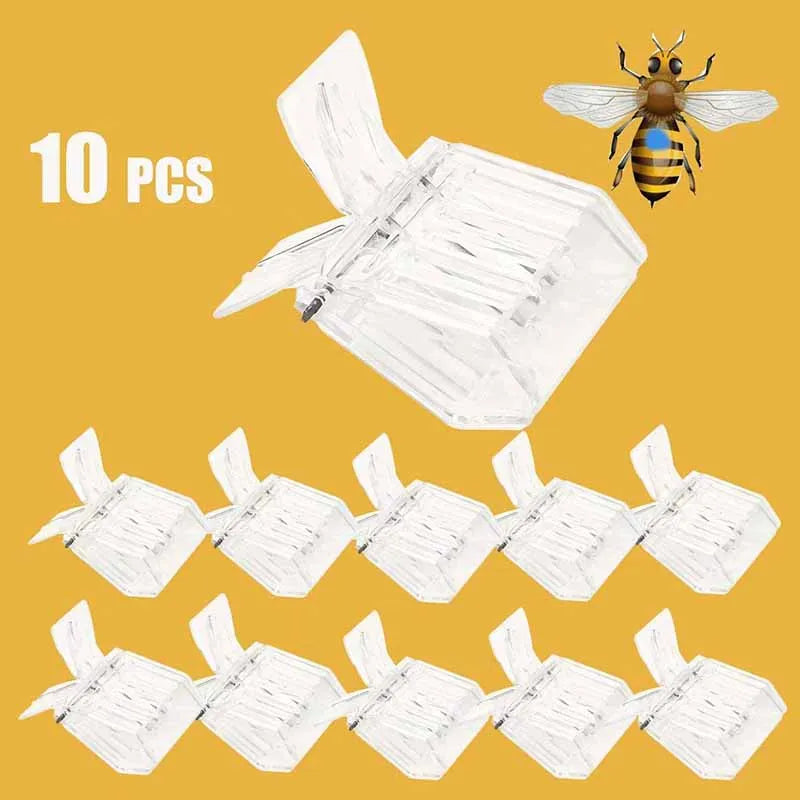 Queen Bee Clip Queen Bee Queen Bee Cage Catcher Queen Clips for Bees Quee Bee/Beekeeping Transparent Plastic