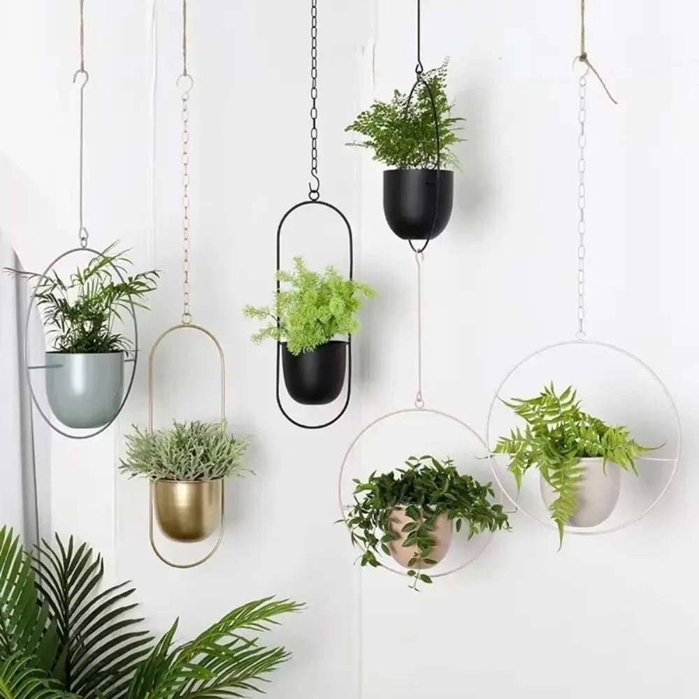 Simple and Modern Creative Hanging Wrought Iron Flowerpot Balcony Hanging Green Radish Succulent Plant Decoration