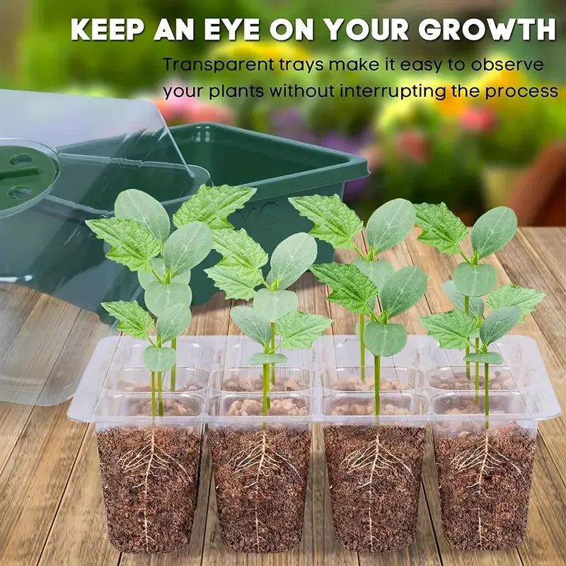 Plastic Seedlings Trays Seed Starter Tray Adjustable Ventilation Humidity Seedlings Germination Tray For Seeds Growing Starting