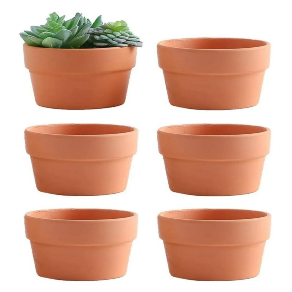6 PCS Terracotta Buld Pots 3.5"x2.2" Flower Pots Clay Pottery Planter with Drainage Hole Cactus Succulent Plant Nursery Pots