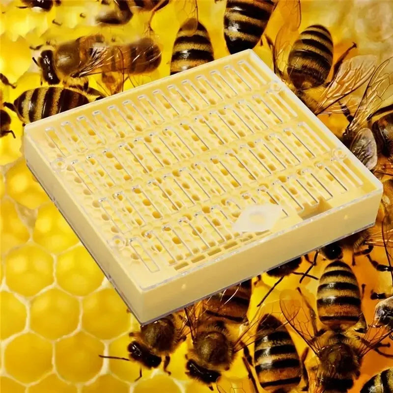 1pc Queen Rearing Box Bee Incubator Beekeeping Tool Plastic Bee King Incubator Free Move Breeding Box Queen Rearing Box Cage