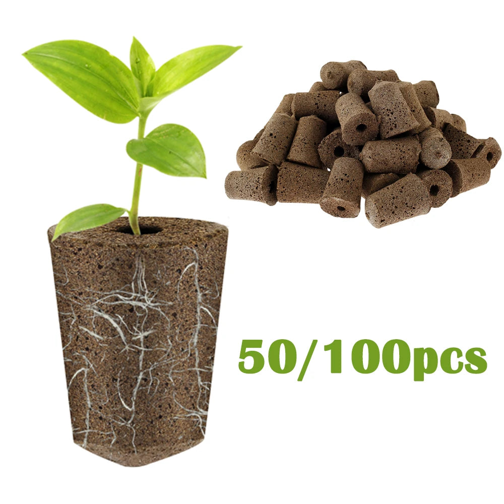 50/100Pcs Seed Growth Sponges Hydroponics Starter Replacement Root Growth Sponges Water Absorbent Garden Planting Accessories
