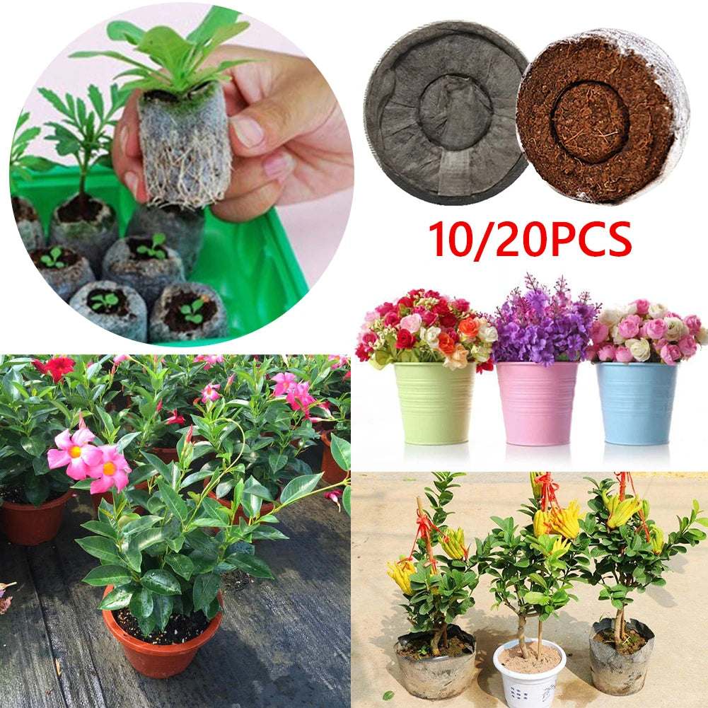 10/20pcs Seedling Soil Block Plugs Seeds Start Household Garden Jiffy Peat Pellets Maker Starting Planting Elements