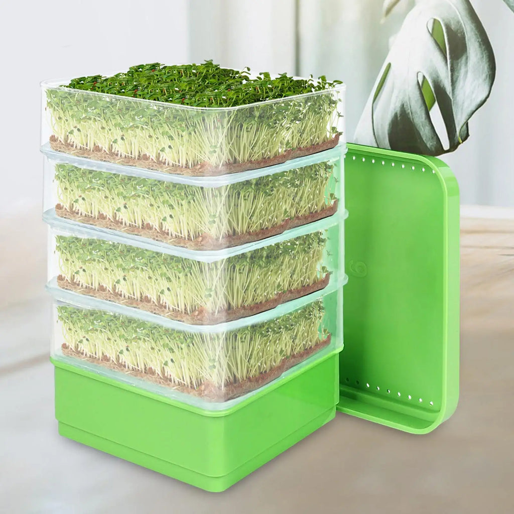 Seed Sprouter Kits 4 Tier Multipurpose Sprouts Grower Germinate Seeds Indoors for Wheat Grass Broccoli Beans Alfalfa Seeds