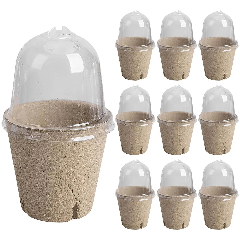 10Pcs Seedling Cup Seedling Pot Transparent Lid Germination Planter Biodegradable Greenhouse Breeding Box Gardening Supplies