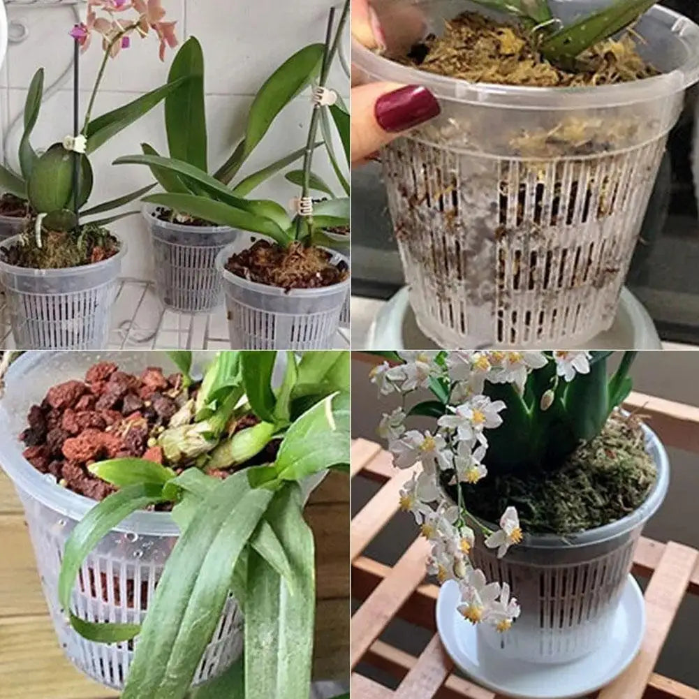11/14/16/19cm Mesh Pot Root Control Transparent Flowerpot for Flower Breathable Growth Container Drainage Hole Orchid Pot