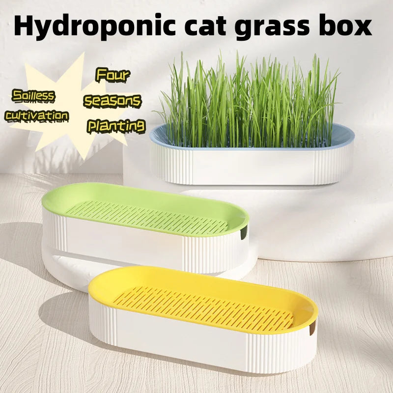 Cat snack Clear cat pot hydroponic catgrass from indoor green plant ready-to-eat wheat seeds for kittens pet snacks