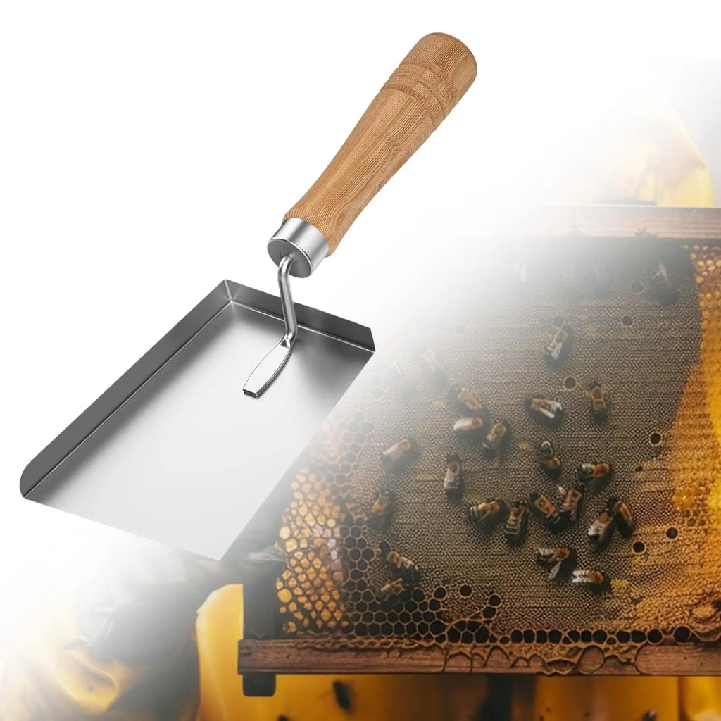 Beehive Shovel Wax Scraper Beekeeping Tool Versatile Sturdy Rust Resistant Accessory 20x8cm Stainless Steel Beehive Extractor