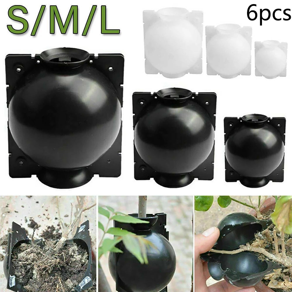 6pcs 5/8/12cm Plant Rooting Ball Reusable Nursery Ball Botany Growing Box Pressure Propagation Ball Box Grafting