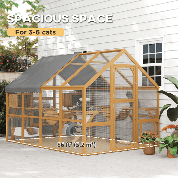 Cat House