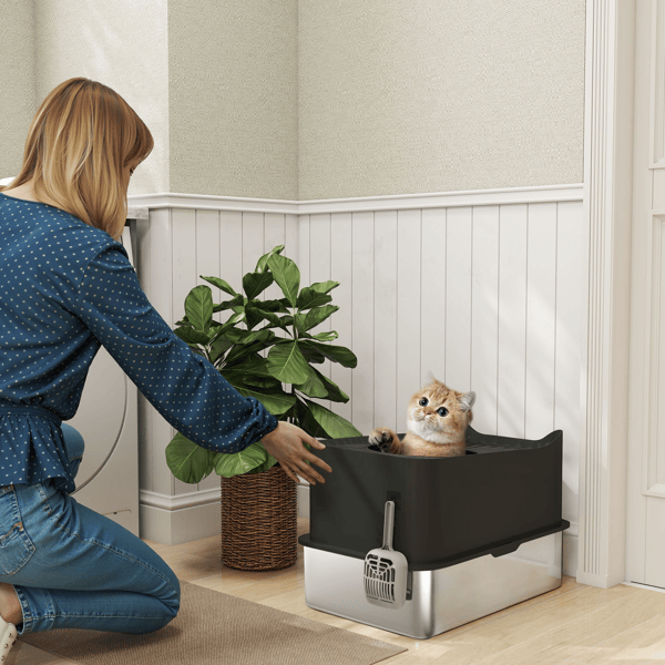 Cat Litter Box