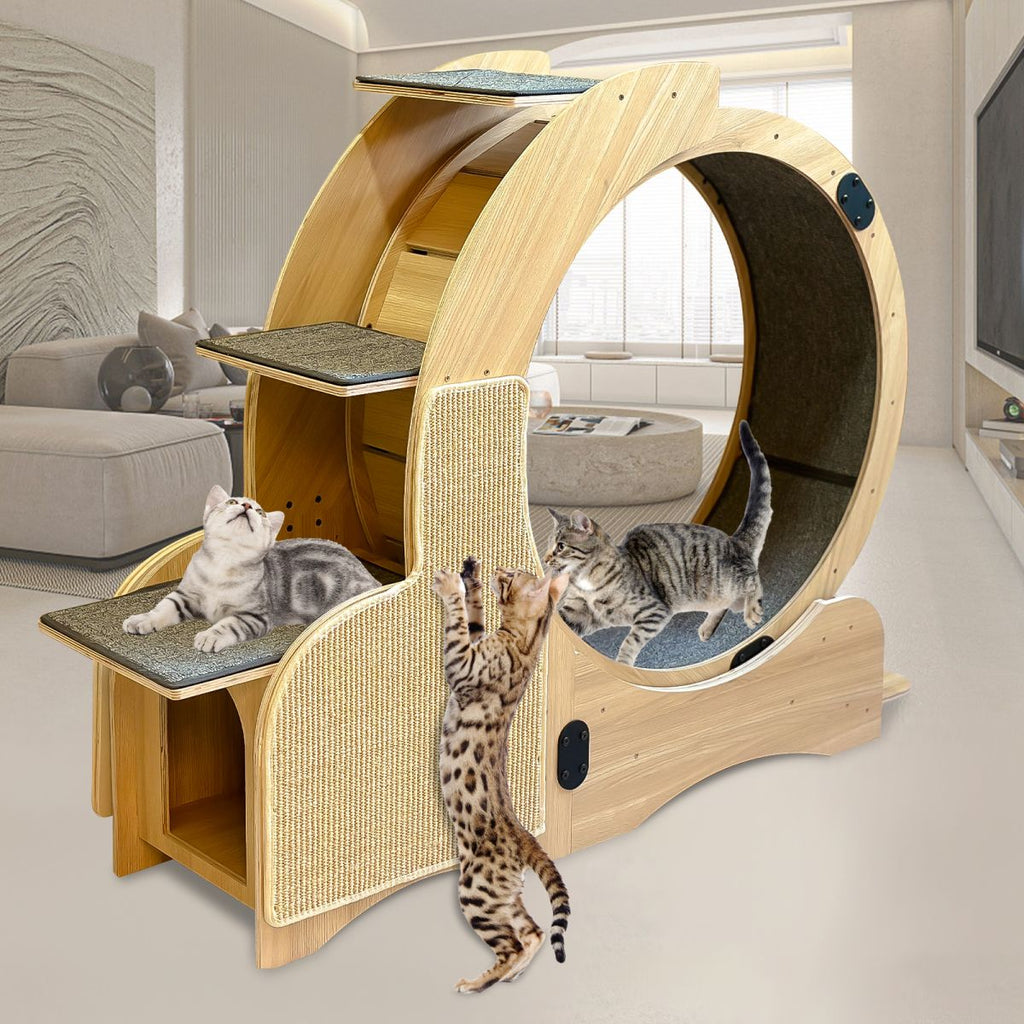 Cat Running Wheel /Cat Scratching Board