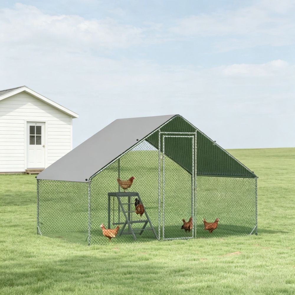 Chicken Coop for Outdoor