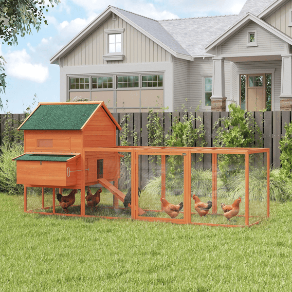 Chicken Coop