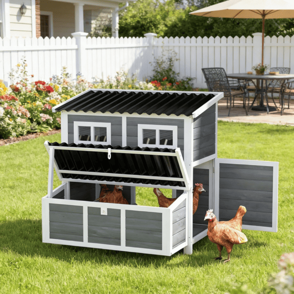Chicken Coop