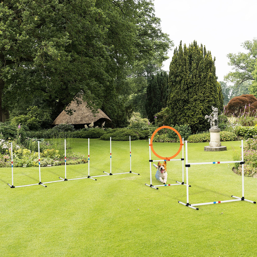 Dog Agility Equipment Set of Eight Cones