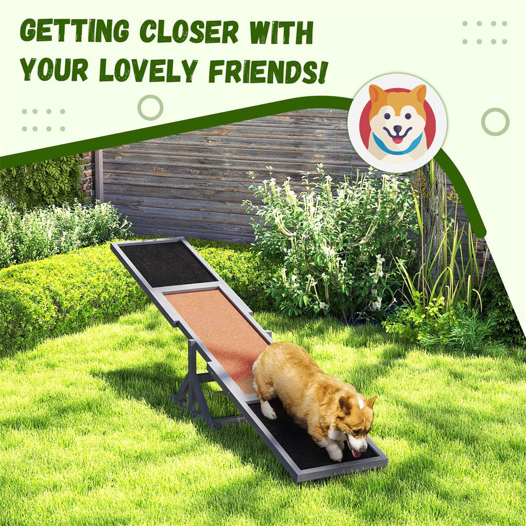 Dog Agility Ramp , Pet Seesaw