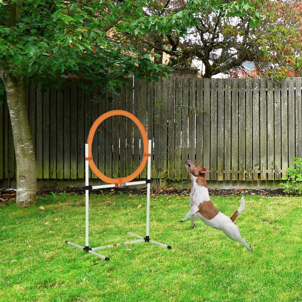 Dog Agility Training Equipment ( Amazon Shipping)(Prohibited by WalMart)