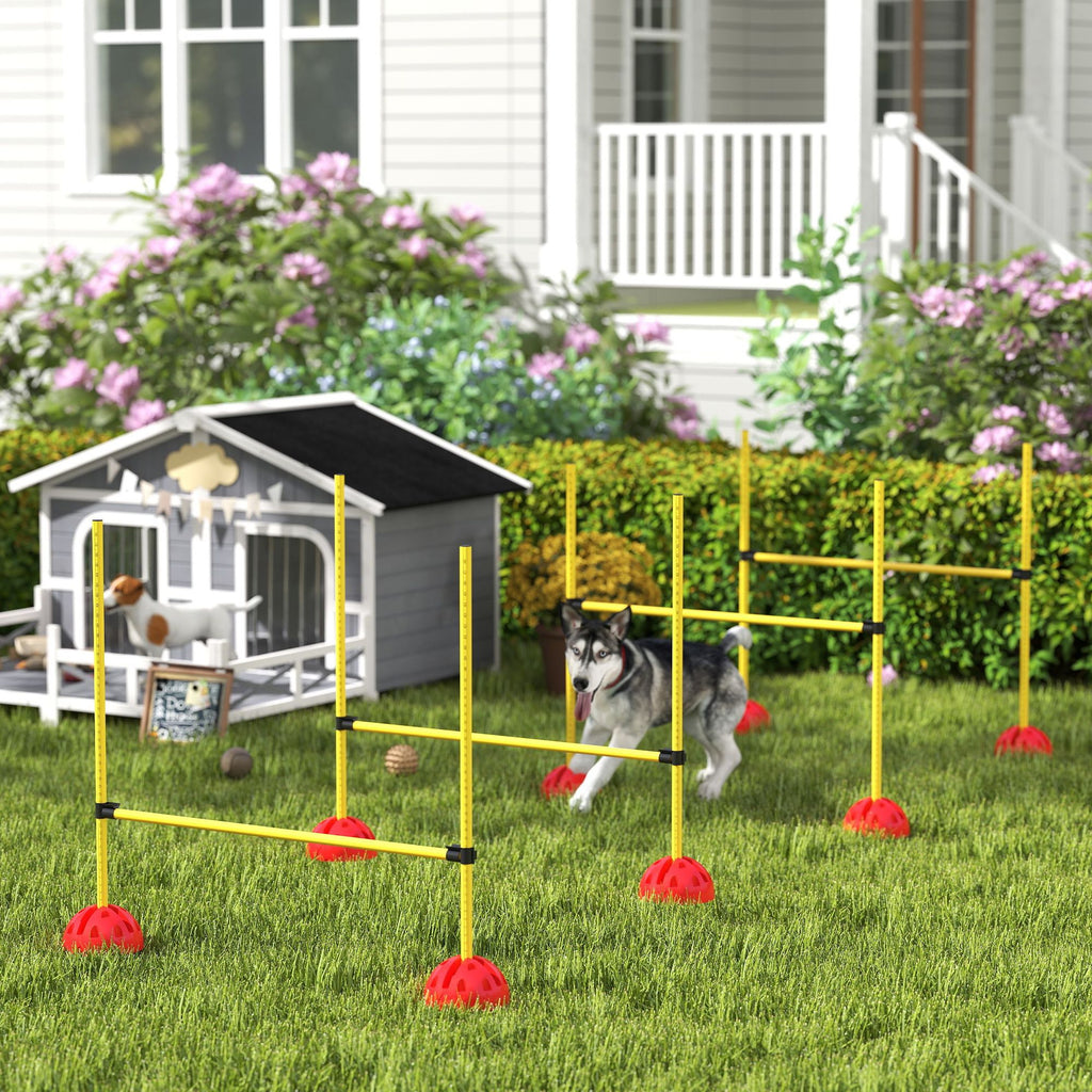 Dog agility training equipment