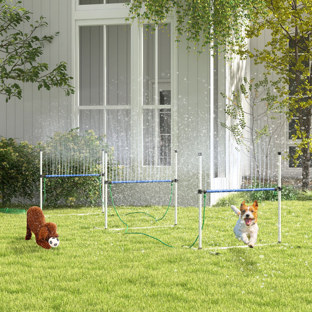 Dog agility training equipment