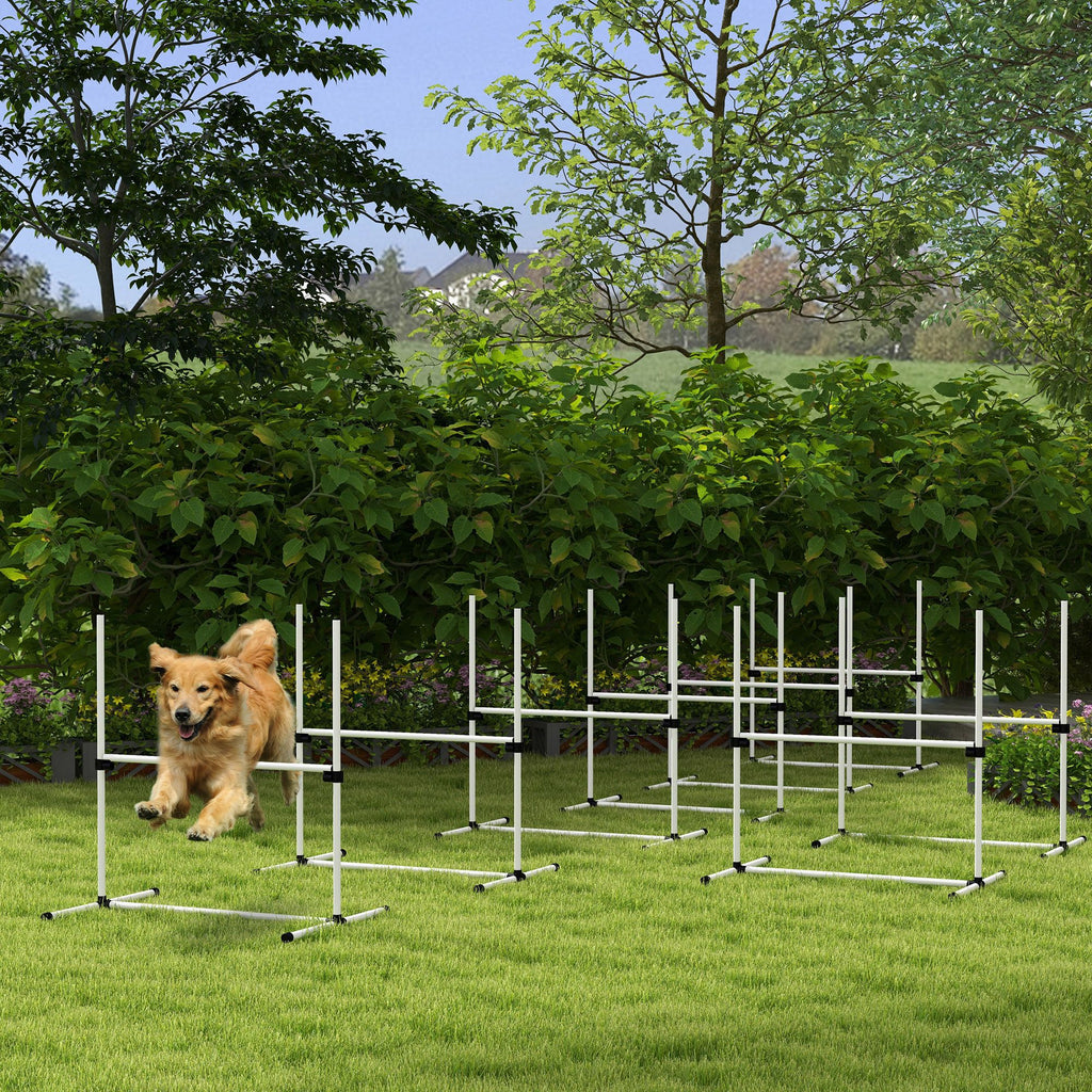 Dog agility training equipment