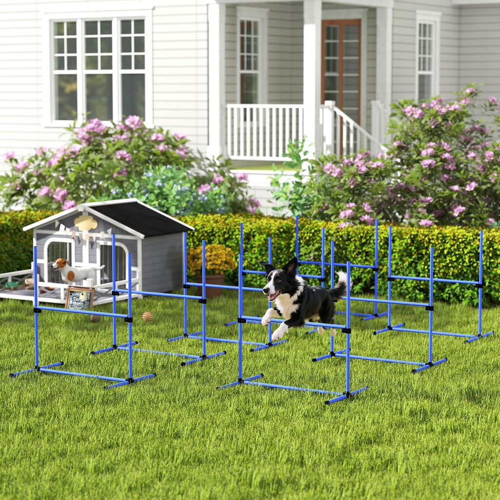 Dog agility training equipment