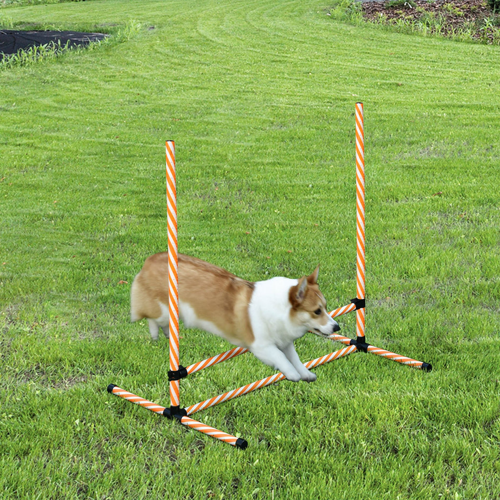 Dog agility training equipment