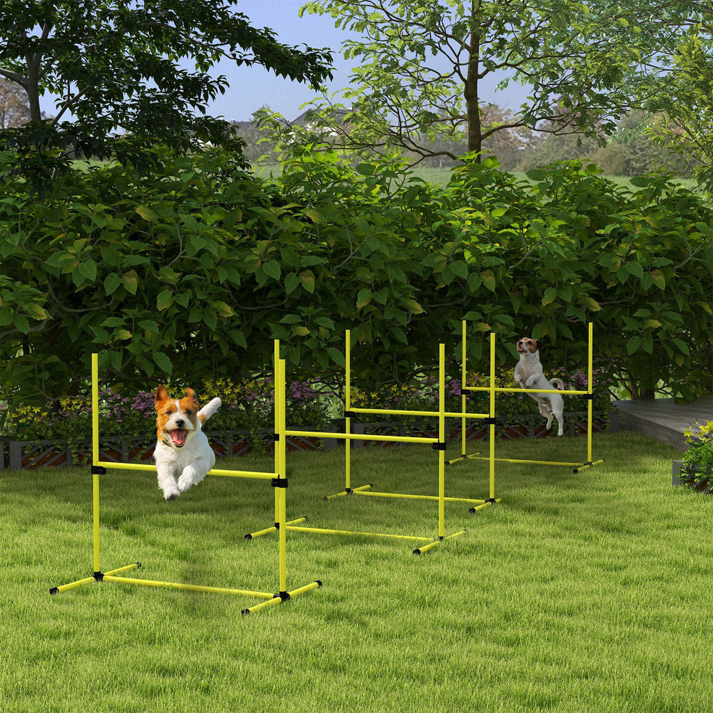 Dog agility training equipment