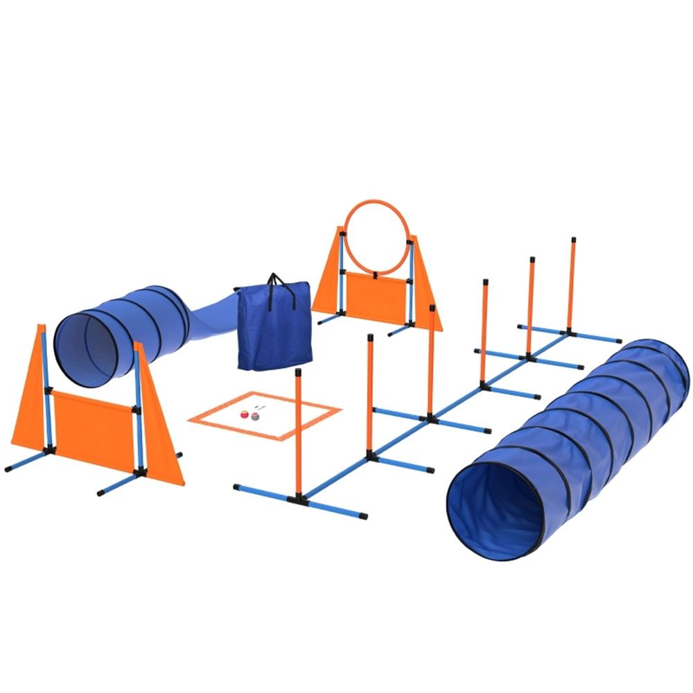 Dog agility training equipment