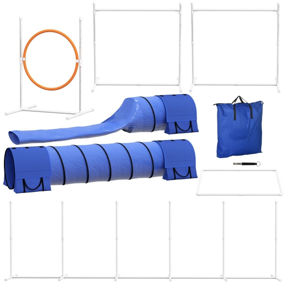 Dog agility training equipment