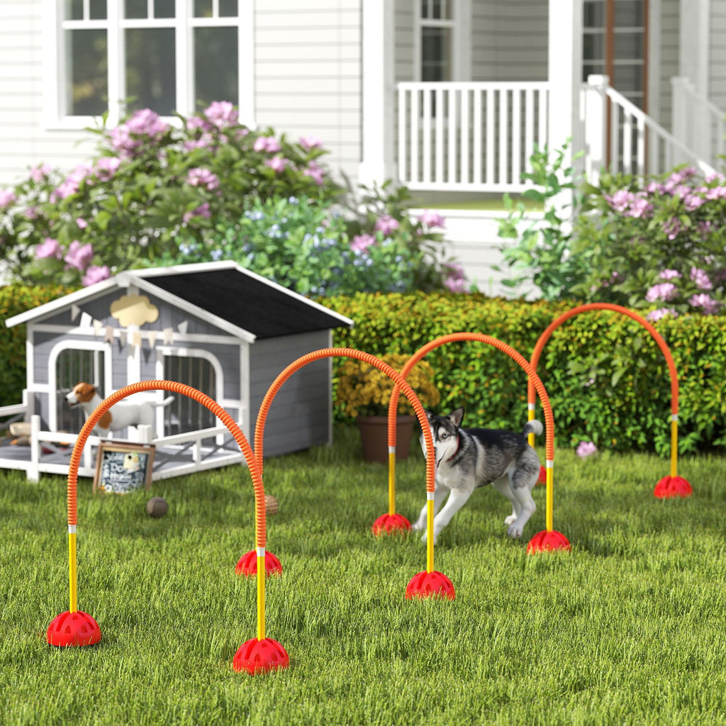 Dog agility training equipment