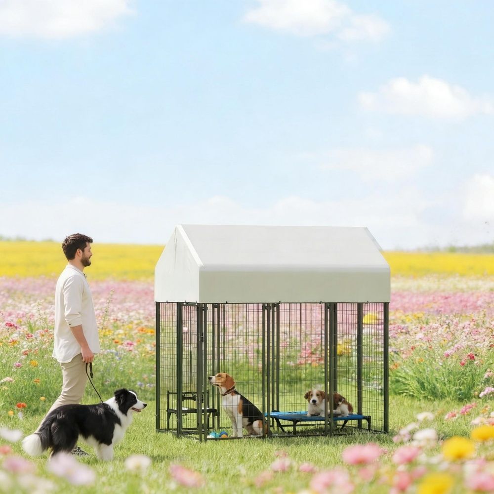 Dog Kennel Outdoor for Outdoor