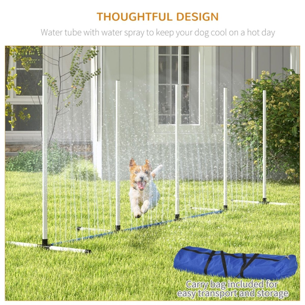 Dog Outdoor Exercise Training Set ( Amazon Shipping)(Prohibited by WalMart)