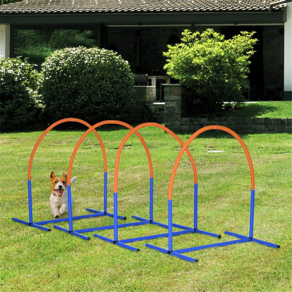 Dog Outdoor Exercise Training Set ( Amazon Shipping)(Prohibited by WalMart)