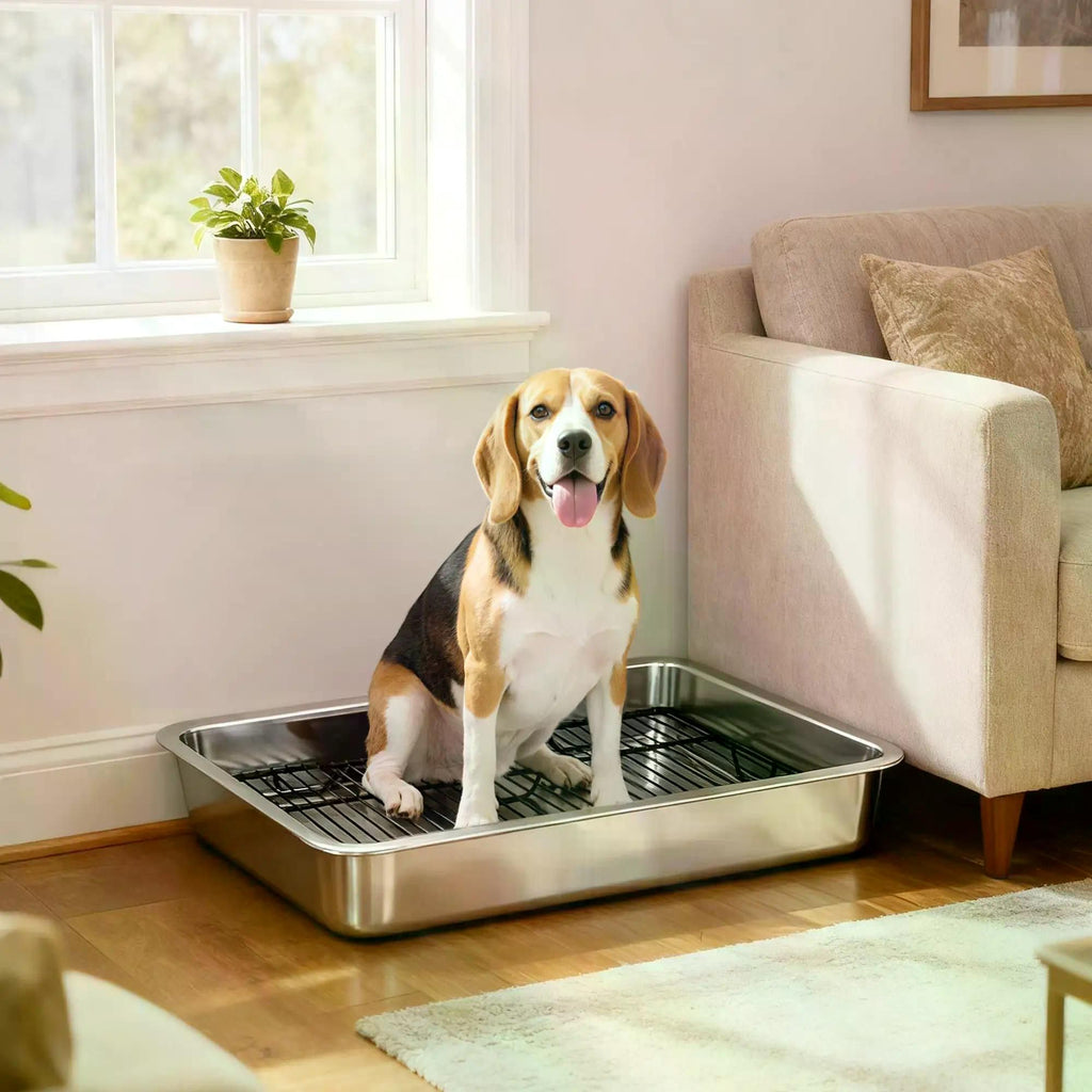 Dog Potty Tray(No shipments on weekends)