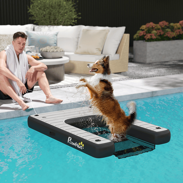 Dog Ramp
