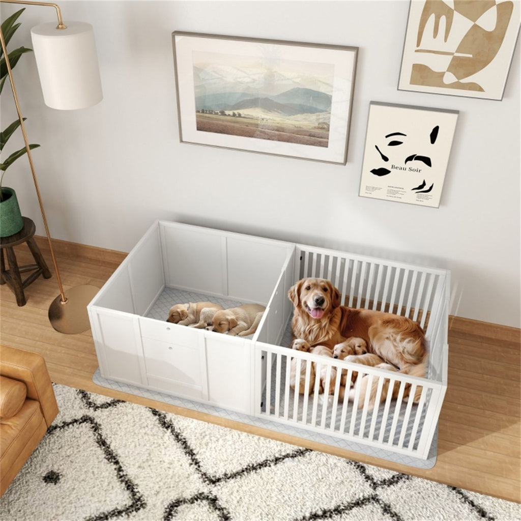 Dog Whelping Box/Dog house