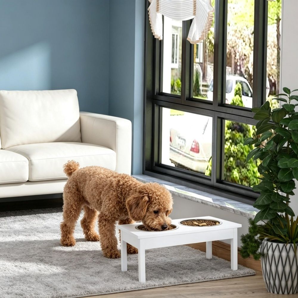 Elevated Dog Bowls with Easy to Clean and Non-Slip Base 12 Inches