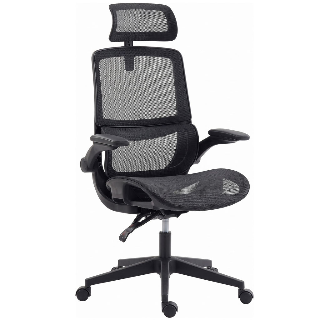 Ergonomic Office Chair with Adaptive Lumbar Support, Reclining Mesh Desk Chair with 2D Headrest, Flip-Up Arms, Black
