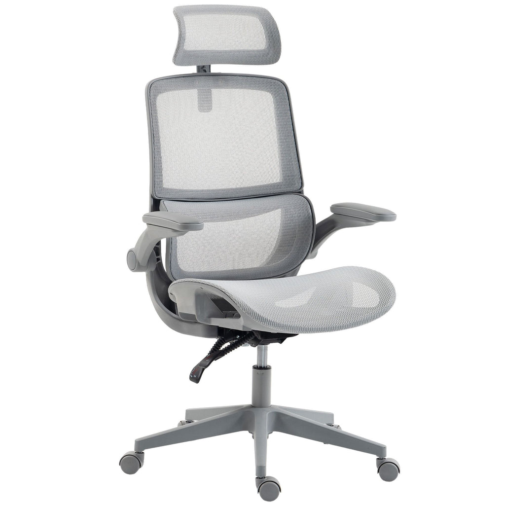 Ergonomic Office Chair with Adaptive Lumbar Support, Reclining Mesh Desk Chair with 2D Headrest, Flip-Up Arms, Gray