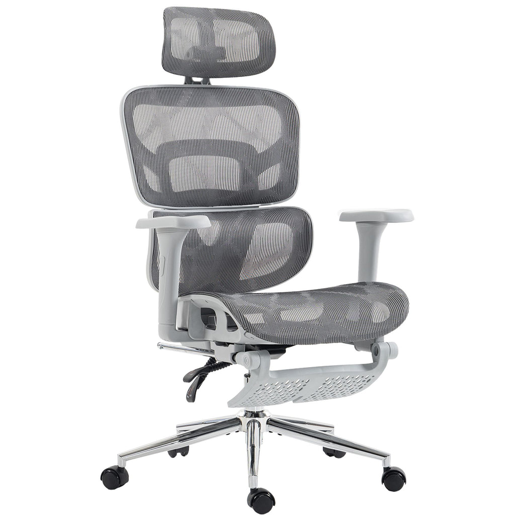 Ergonomic Office Chair with Lumbar Support, 2D Headrest, Mesh Reclining Desk Chair with Footrest, Swivel Wheels, Gray