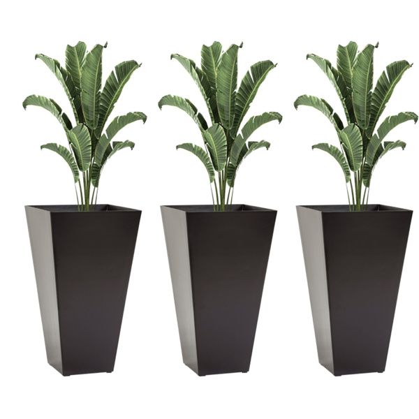 Garden Bed ( Amazon Shipping)(Prohibited by WalMart)