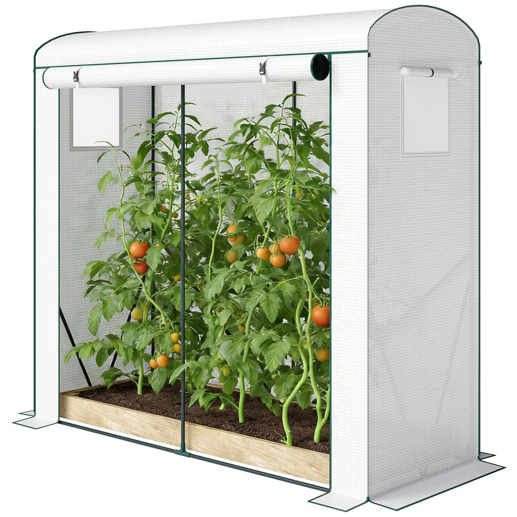 Garden Bed with Mini Greenhouse
