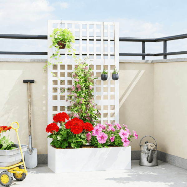 Garden Bed