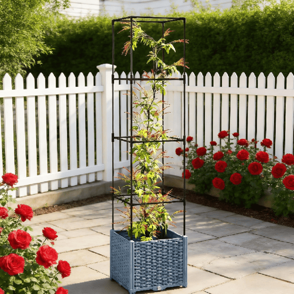 Garden Bed